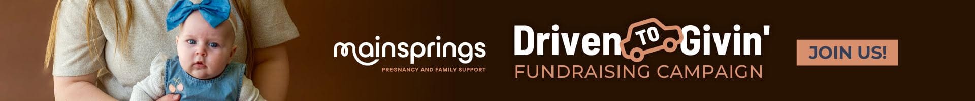 mainsprings banner